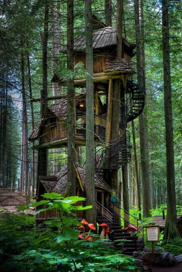 這座「七個小矮人小屋」是世界上最高的樹屋之一...