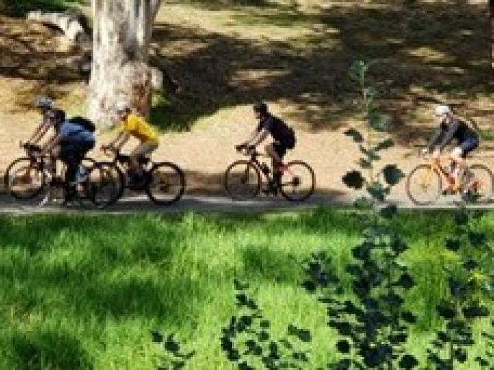 騎單車

騎單車自遊行能享受陽光和沿途欣賞大自然的景色，既可運動，又能滿足視覺享受，是一種有益身心的活動。...