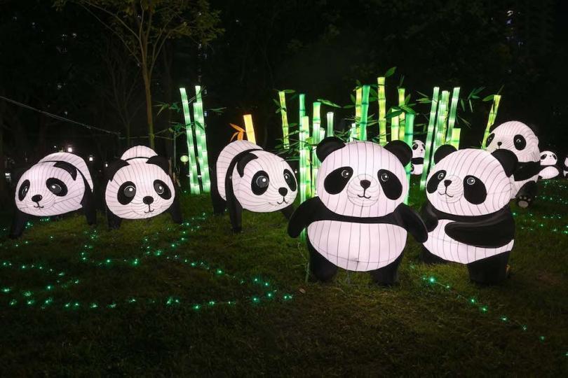 東涌文東路公園的熊貓花燈好趣致...
