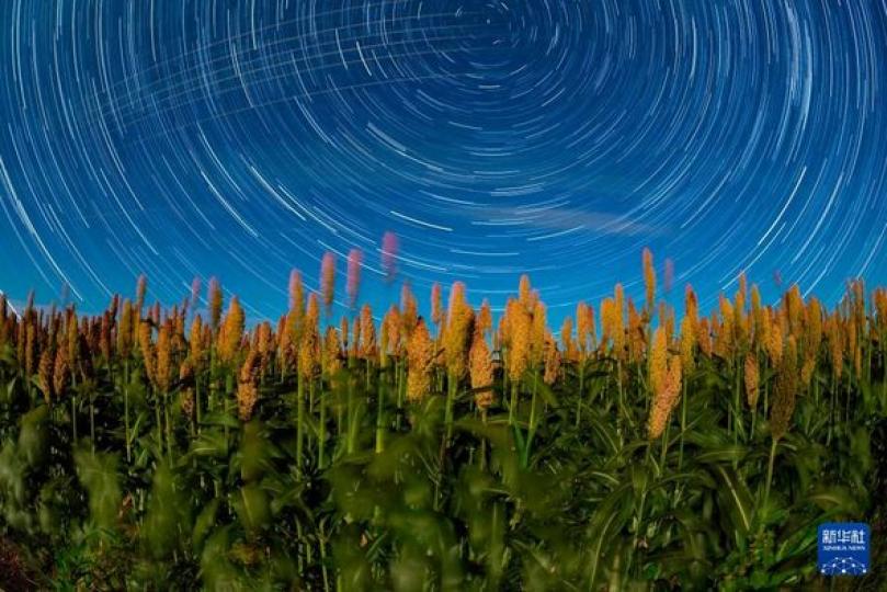 黑龍江：豐收田野“約會”浪漫星空...
