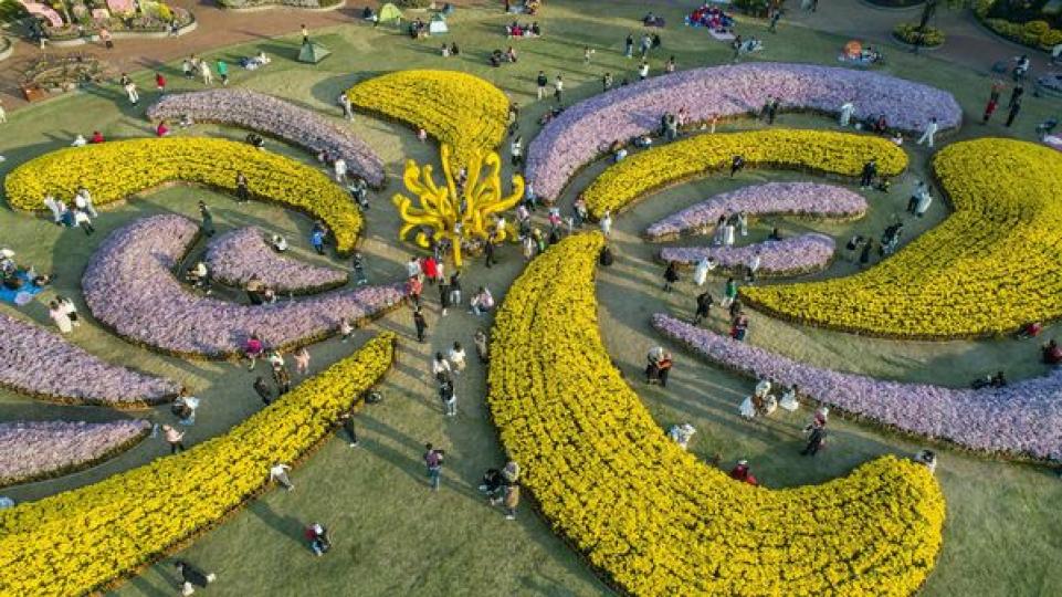 "Flower" made of flowers...