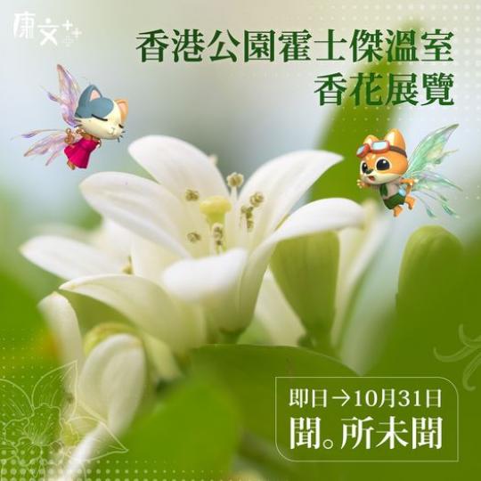 香花展覽
香花展覽......