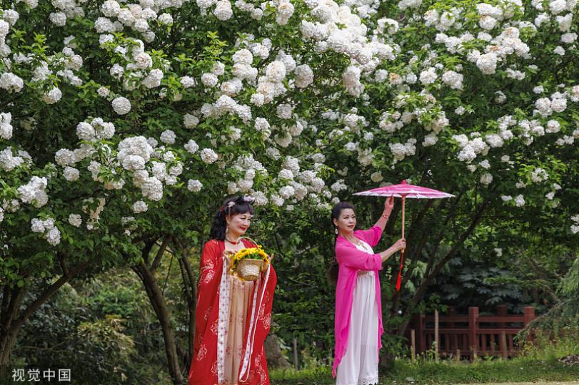Spring is in full bloom at Shanghai Binjiang Forest Park!...