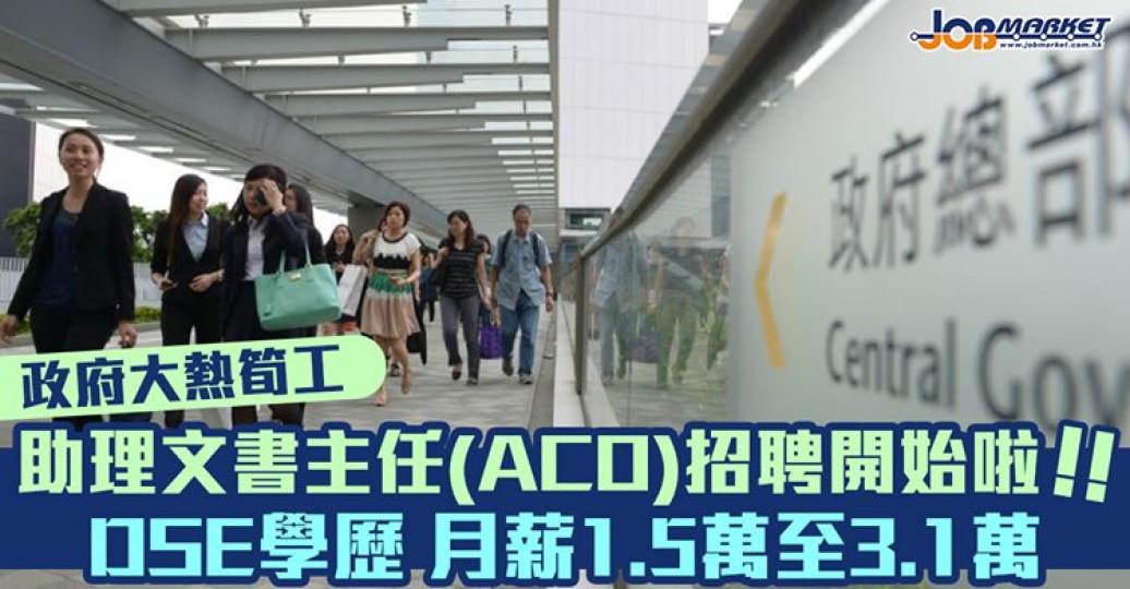 大熱政府筍工 - 助理文書主任(ACO)招聘開始啦!呢次共開放1,500個職位。申請人只需要擁有DSE 5科2級及符合文書要求即可申請。月薪1.5萬至3.1萬元... 大熱政府筍工 - 助理文書主任(ACO)招聘開始啦!呢次共開放1,500個職位。申請人只需要擁有DSE 5科2級及符合文書要求即可申請。月薪1.5萬至3.1萬元...