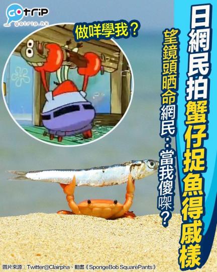 有日本網民影到蟹仔捉到魚之後勁得戚嘅樣...