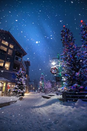 加拿大飄雪的街邊立起了一顆顆閃亮聖誕樹...