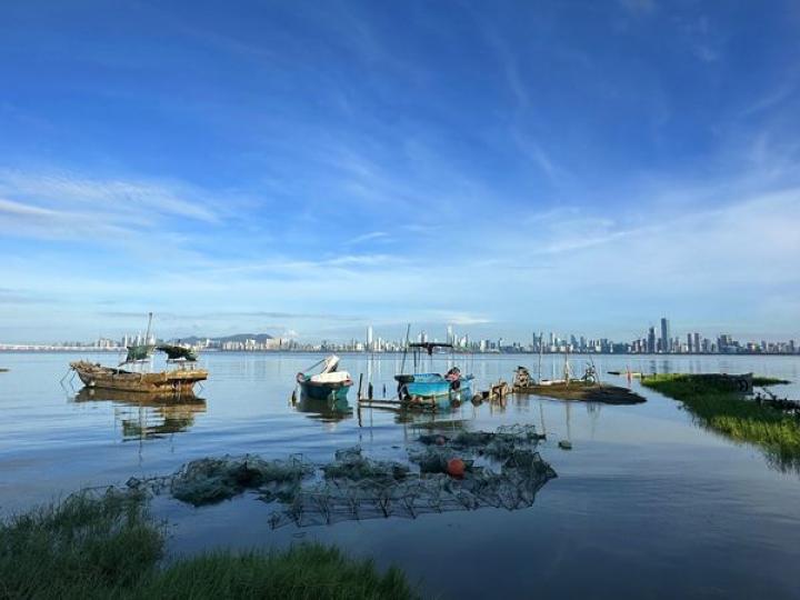 從漣漪到彈塗魚 後海灣的日與夜...