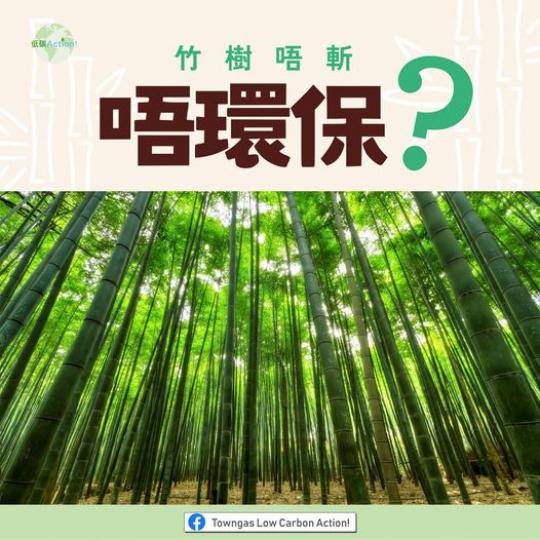 竹樹唔斬唔環保？......