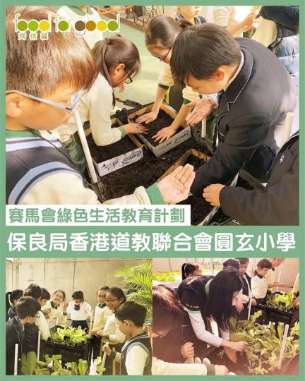 保良局香港道教聯合會圓玄小學!同學們用A4紙盒的盒蓋來混合有機肥料同泥土,你看他們多用心~既環保又方便,果然是廢物利用啊... 保良局香港道教聯合會圓玄小學!同學們用A4紙盒的盒蓋來混合有機肥料同泥土,你看他們多用心~既環保又方便,果然是廢物利用啊...