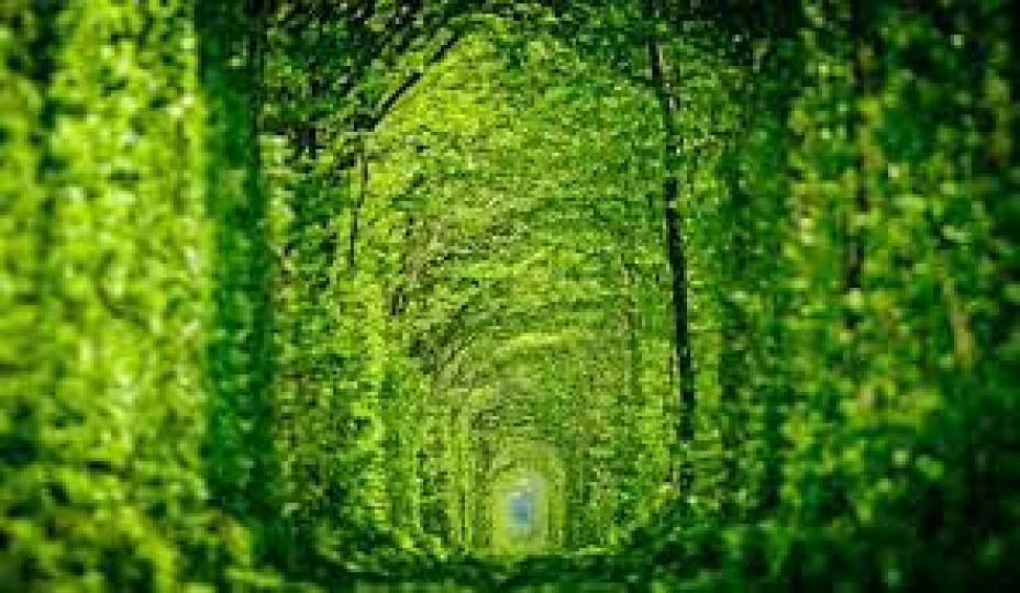 烏克蘭的愛情隧道（Tunnel of Love）有著神祕傳說...