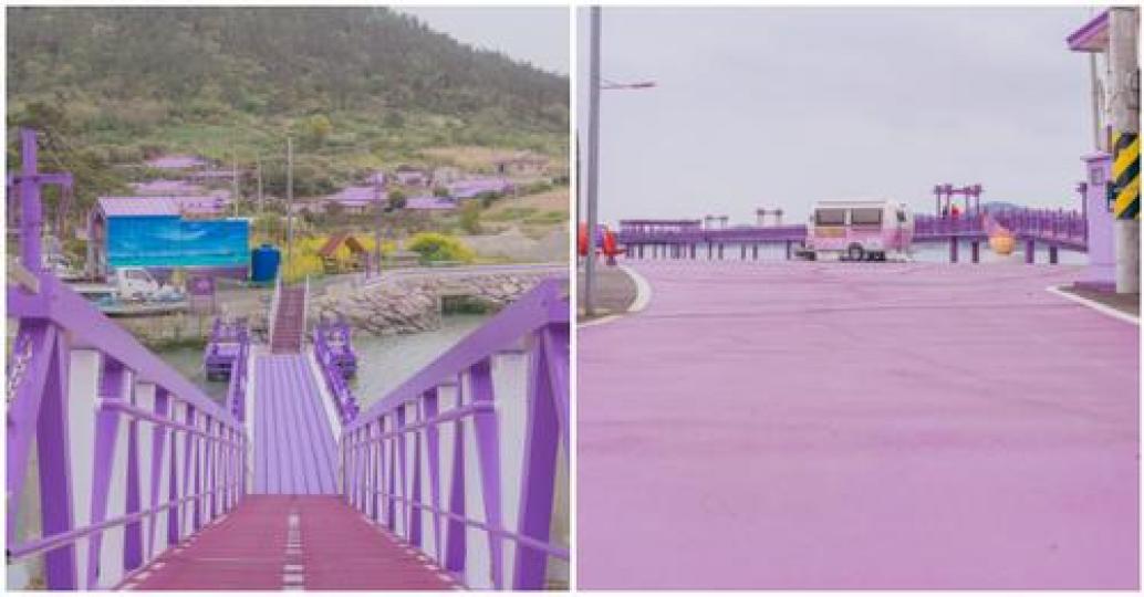 到處都是紫色的小島你看過嗎？3台灣海岸線也超必看...