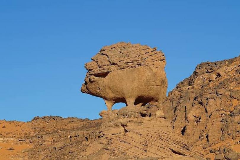 阿爾及利亞的獨特岩石竟然看起來像一隻刺蝟...