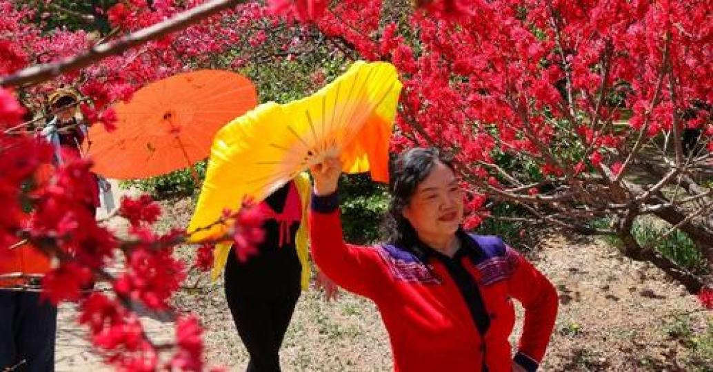 Amid the beautiful spring weather and blooming flowers... Amid the beautiful spring weather and blooming flowers...