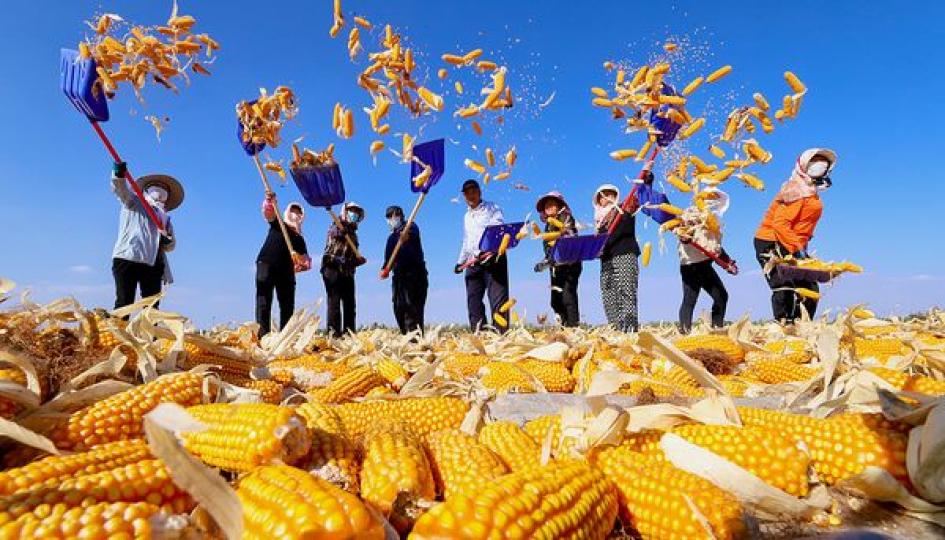 Farmers in a village in Zhangye, Gansu...