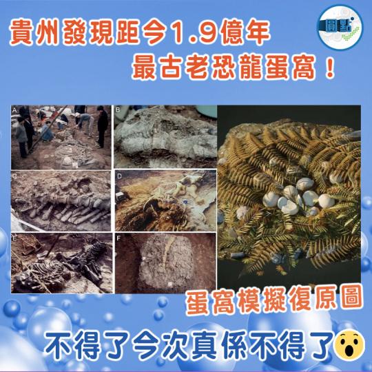 貴州發現最古老恐龍蛋窩......