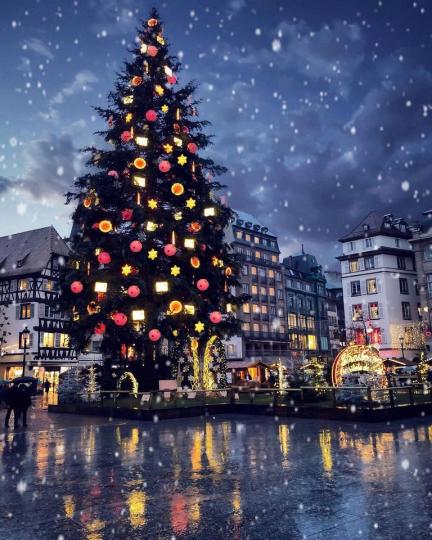 史特拉斯堡有著全法國最大的聖誕市集...