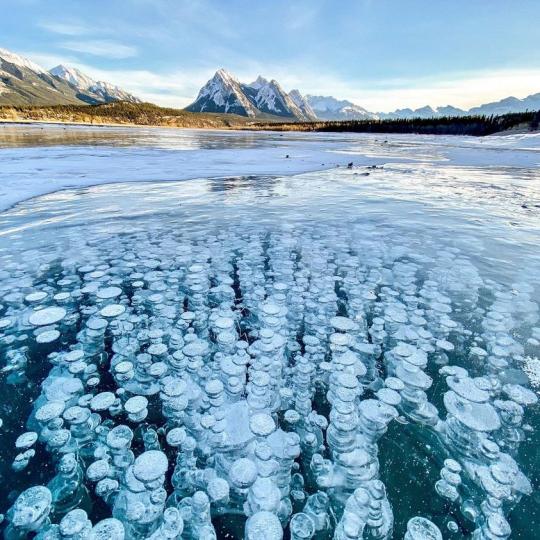 加拿大的亞伯拉罕湖（Abraham Lake）又有汽水湖之稱，結冰的湖面下有著數不盡的泡泡結晶，壯觀畫面每年都吸引無數遊客造訪！...