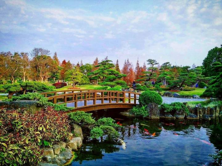 有著「台版兼六園」之稱的古典日式庭園...