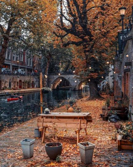荷蘭的秋天也緩緩到來了...