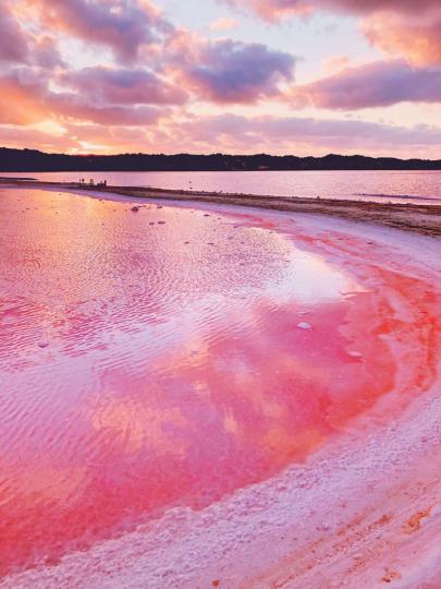 超夢幻「粉嫩草莓色湖泊」你有看過嗎？...