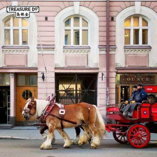 在歐洲的街上，不時會見到當地的馬匹，真正的「高頭大馬」！...