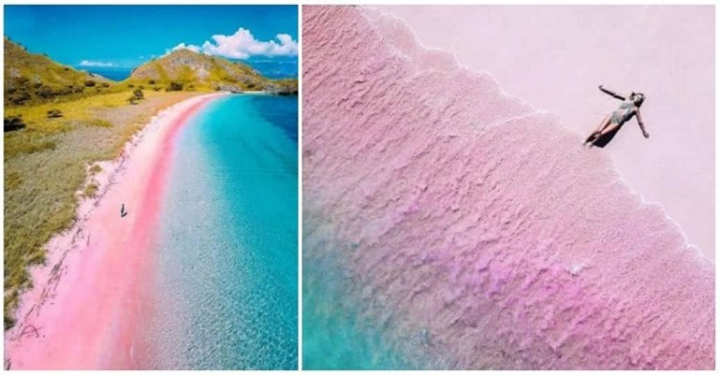 粉紅色沙灘是天堂的景色吧...