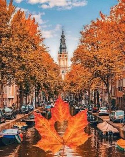 荷蘭阿姆斯特丹真的很美...