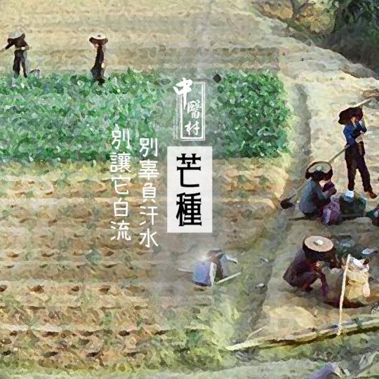 別辜負汗水 別讓它白流
夏季的第3個節氣是「芒種」,今年在6月5日,它包含播種的意思,又有收成、收獲之意。簡單啲講,「芒」的諧音係指忙碌,是忙碌著播種的好日子,農民夠忙的了,你呢?春天時的計劃實行了嗎... 別辜負汗水 別讓它白流
夏季的第3個節氣是「芒種」,今年在6月5日,它包含播種的意思,又有收成、收獲之意。簡單啲講,「芒」的諧音係指忙碌,是忙碌著播種的好日子,農民夠忙的了,你呢?春天時的計劃實行了嗎...