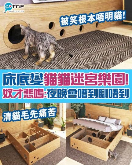 哥倫比亞專門設計貓咪商品嘅品牌「catlife」設計咗一款床，下面居然係一個貓貓迷宮，不過有貓奴表示根本唔User-friendly，全因為主子全晚行嚟行去實在好煩，而且塞滿貓毛真係好難清潔，簡直悲鳴...