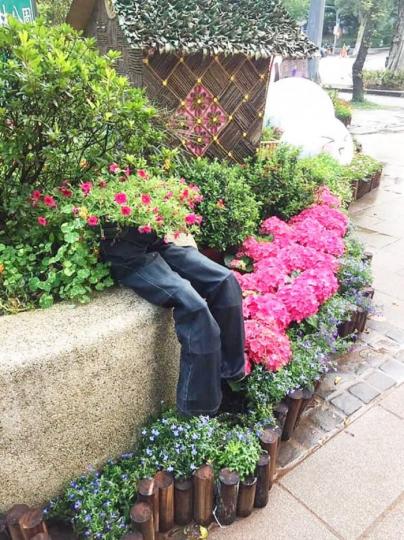 在大安森林公園偶然看到「牛仔褲造型花盆」...