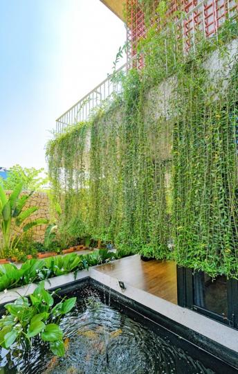 長滿綠色植物的「熱帶風住宅」你會想住嗎？...