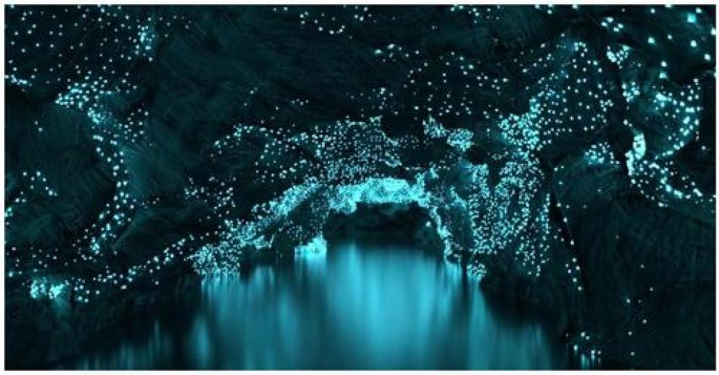 洞穴裡的點點綠光，好像一盞盞冰藍色的水晶吊燈...