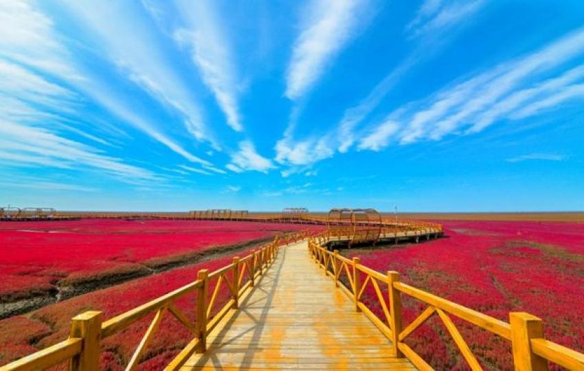 紅海灘碼頭是全球唯一在泥灘上建起的木結構，走在九曲廊橋上，紅海灘的一覽無餘...