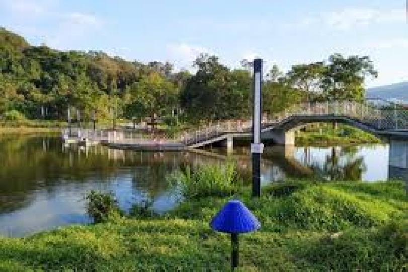 大埔鳳園嘅蝶豆花園,佔地50萬尺,園區內不僅有獨有嘅天空之鏡﹑蝶豆花長廊及天鵝湖,最近更引入左六隻來自澳洲嘅可愛小羊駝!就趁呢個機會,同屋企人去打下卡,親親大自然... 大埔鳳園嘅蝶豆花園,佔地50萬尺,園區內不僅有獨有嘅天空之鏡﹑蝶豆花長廊及天鵝湖,最近更引入左六隻來自澳洲嘅可愛小羊駝!就趁呢個機會,同屋企人去打下卡,親親大自然...