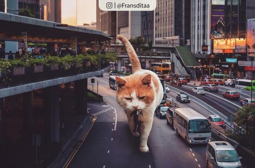 印尼藝術家Fransdita Muafidin惡搞喵星人，利用P圖特效將貓貓巨大化...