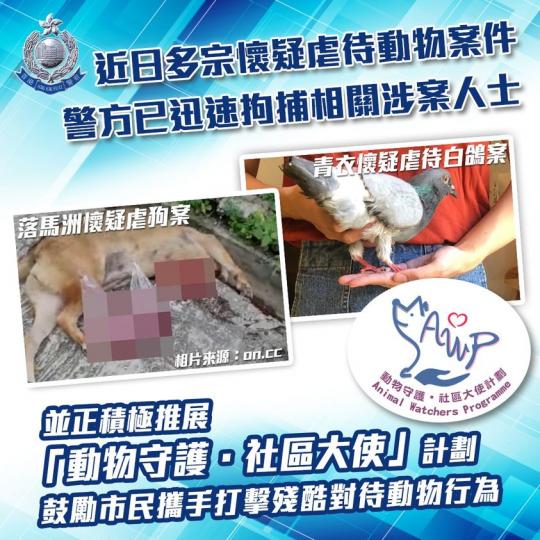 【 動物守護 • 社區大使計劃 】
就近日落馬洲青山公路懷疑虐待狗隻及青衣區懷疑虐待白鴿案,警方專責處理虐待動物案件的刑事調查隊經全力調查及搜證後均已迅速拘捕相關涉案人士。
警方一直十分關注懷疑虐待動... 【 動物守護 • 社區大使計劃 】
就近日落馬洲青山公路懷疑虐待狗隻及青衣區懷疑虐待白鴿案,警方專責處理虐待動物案件的刑事調查隊經全力調查及搜證後均已迅速拘捕相關涉案人士。
警方一直十分關注懷疑虐待動...