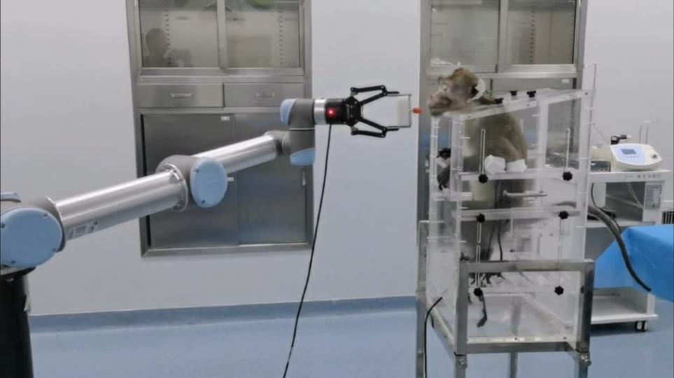 全球首例！南開團隊牽頭完成介入式腦機接口非人靈長類動物試驗...