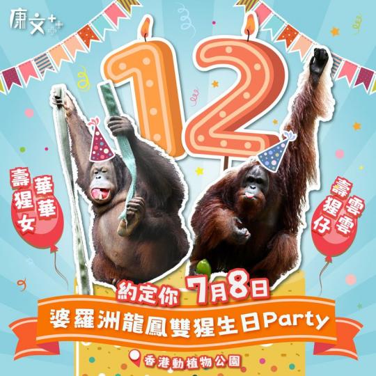 香港動植物公園鬼馬雙「猩」生日會...