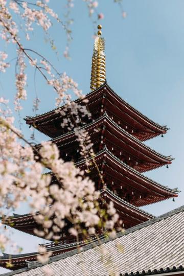 淺草寺是東京都內歷史最悠久的寺院，優美又宏偉的建築細節令人讚嘆不已，日本的寺廟都美到驚人...