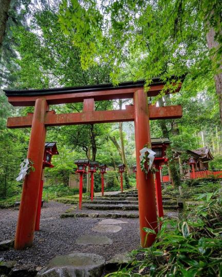 步日本神社的那些腳步...