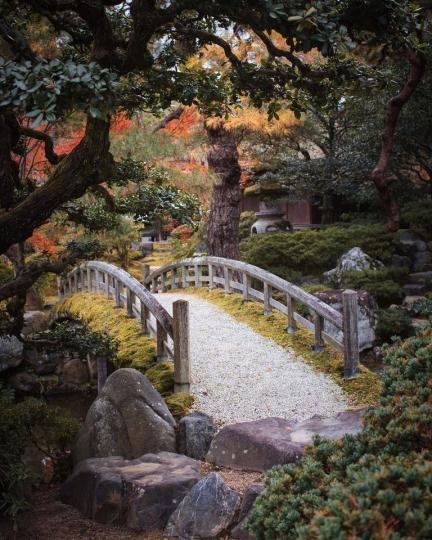 京都的美，總能在不經意的一隅找到驚喜，燦爛的樹加上幽靜的小橋...