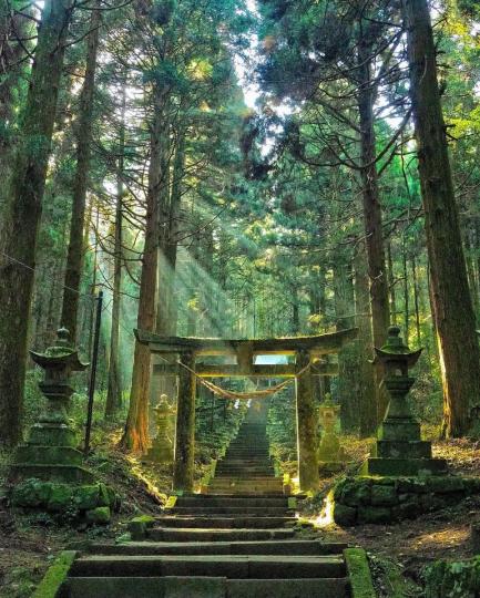 隱藏在森林裡的空靈神社，爬滿青苔的斑駁門柱像在悄悄耳語歲月長河的故事...