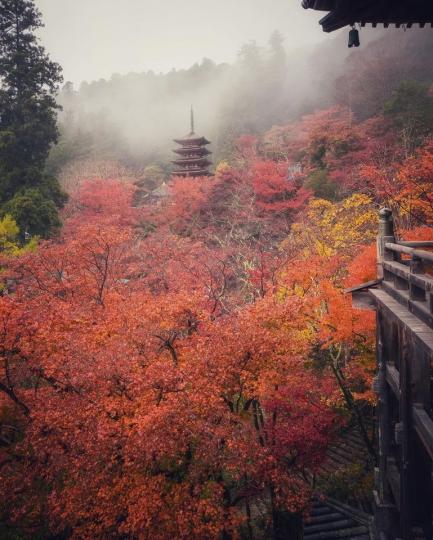 位於櫻井市的長谷寺正殿被列為日本國寶...