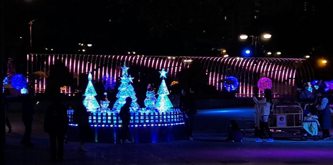 沙田公園,聖誕燈飾,夜景好靚...