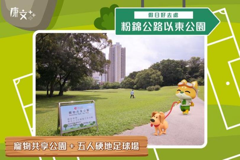 weekend想一家大細帶埋主子同陽光玩遊戲...