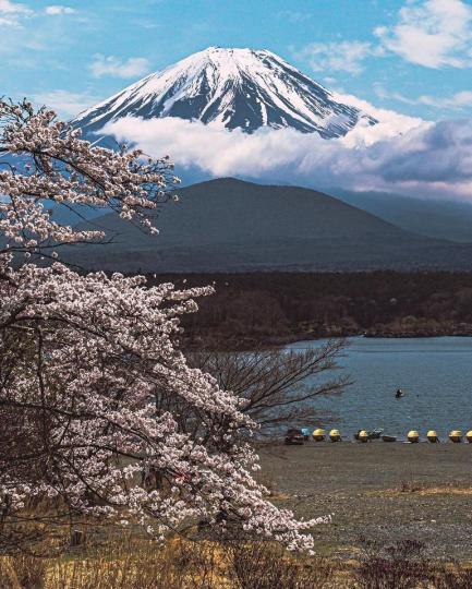 山梨縣精進湖的一片湖面，搭配著遠方的富士山美景...