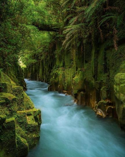 位於紐西蘭的普倫蒂灣，一面望下去那不真實的水藍湖水流經，視覺真的很療癒，搭配著一旁的綠意叢林，美到屏息...