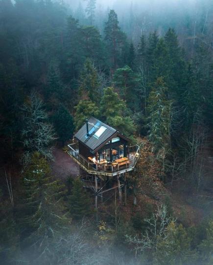 住在挪威裡的樹屋.......