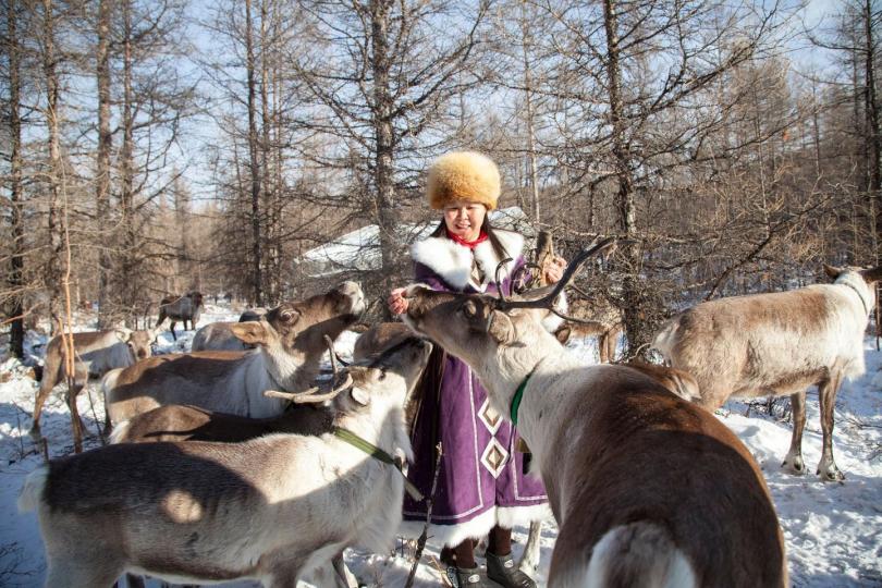 【寒冬下餵飼鹿】
在有「中國馴鹿之鄉」稱號的內蒙呼倫貝爾根河敖魯古雅鄉中，一位鄂溫克族婦女在布冬霞部落餵飼鹿。
武仲林／攝...