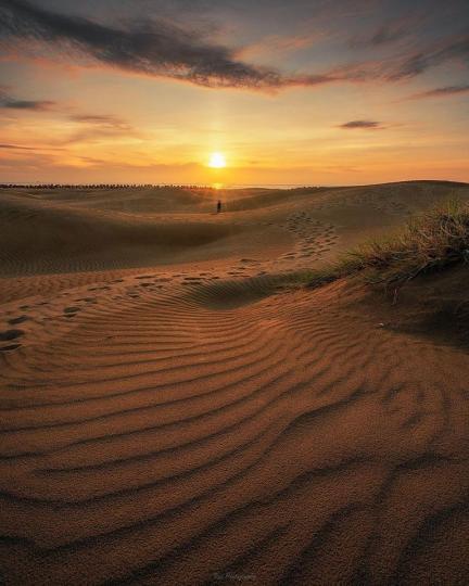 在昏黃的沙洲看著遠方夕陽的守護，神秘而充滿荒原感的氛圍...